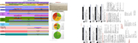 South Texas Marketing Plan_Final_110618